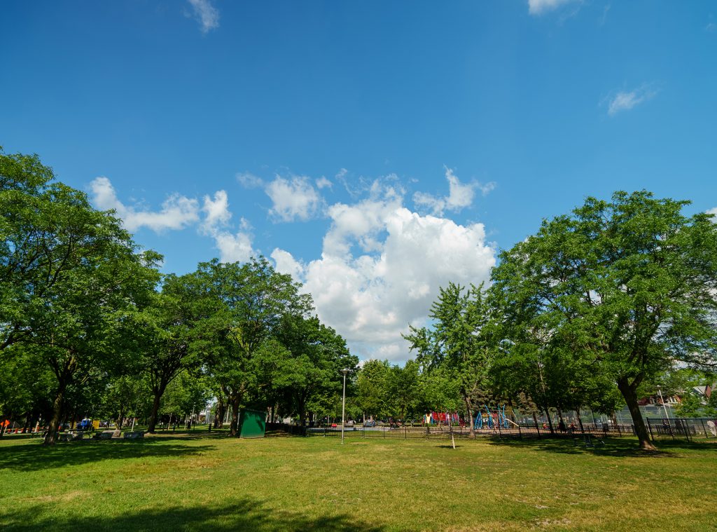 Sierra-Motto-Park2